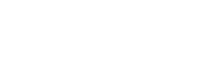 ves_logo_w